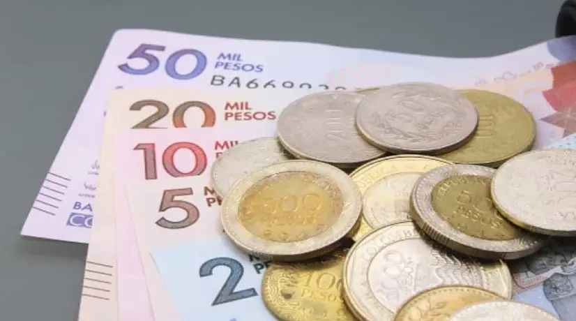 Disposiciones del Gobierno en el Plan Nacional de Desarrollo