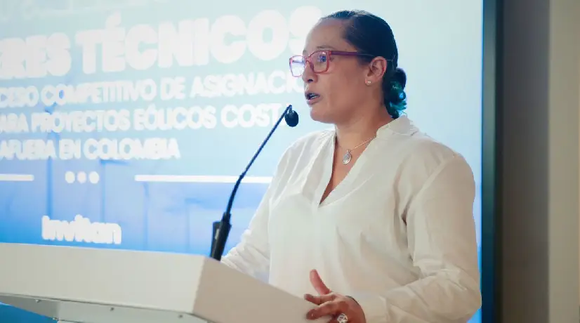 Viceministra de Minas, Belizza Ruiz