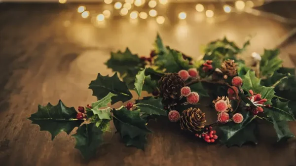 Tome nota: estas son las plantas que atraen la buena suerte en Navidad, según el Feng Shui