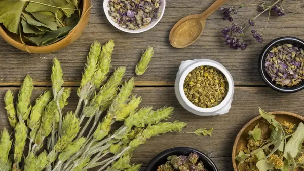 Ocho plantas para calmar la ansiedad y reducir el estrés en situaciones incómodas