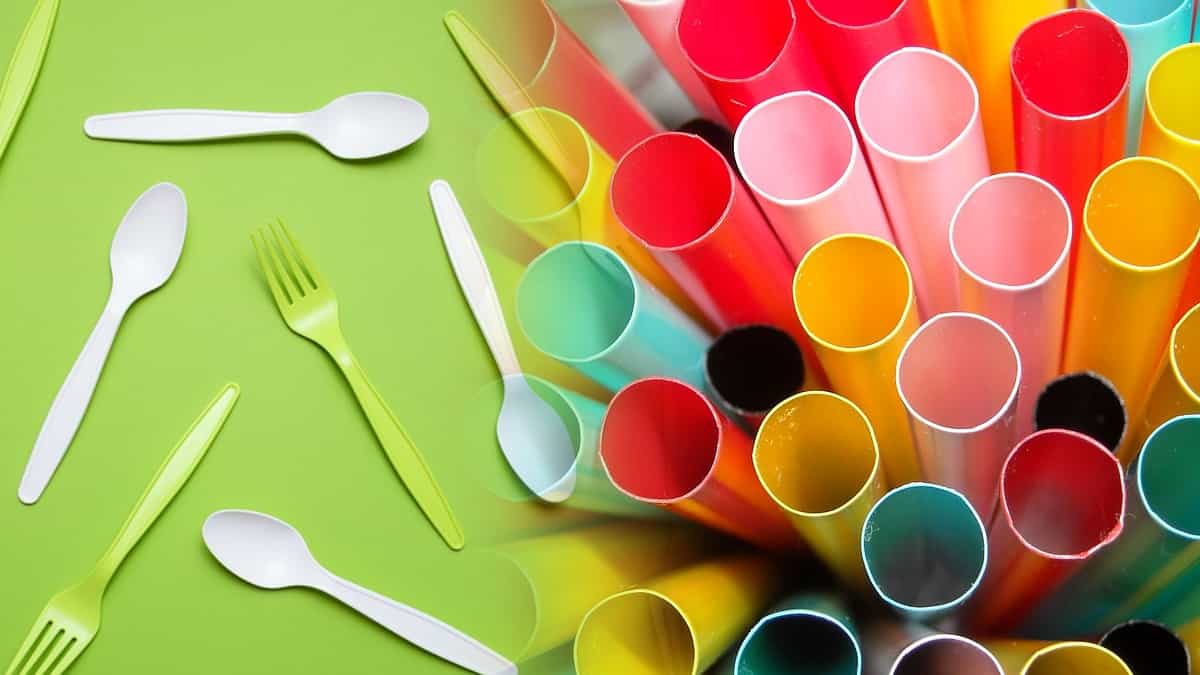 CAR anuncia entrada en vigencia de prohibición de uso de plásticos de un solo uso