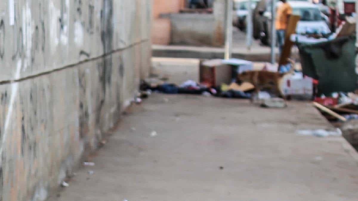 La mujer fue abordada por las autoridades cuando intentaba diseccionar al animal.