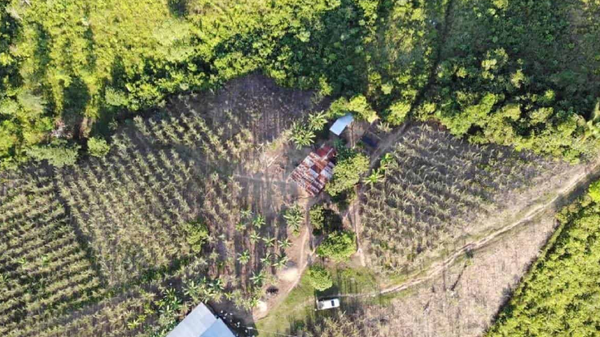 Política Nacional de Drogas será financiada con dineros del narcotráfico: lo que se sabe