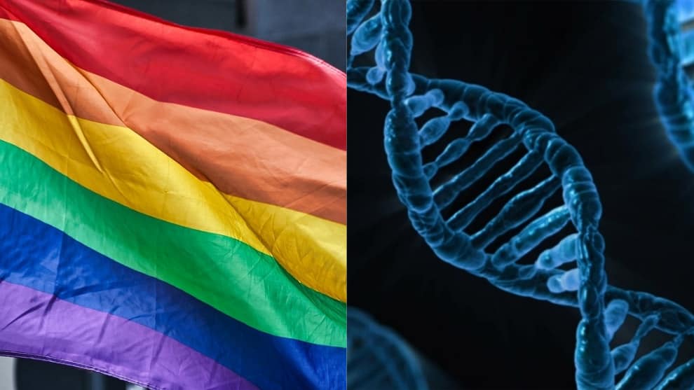 Estudio de ADN revela que no existe un ‘gen gay'