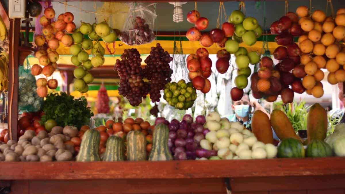 Incrementa el precio de los alimentos