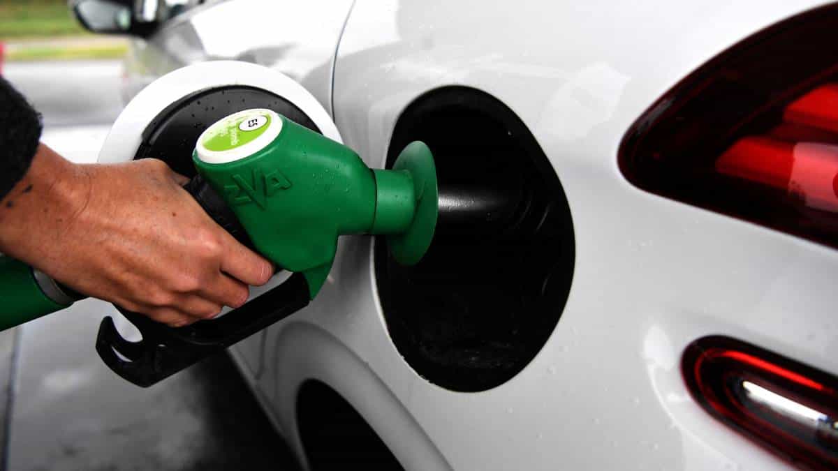 Foto: Fred Tanneau - AFP/ Precio del barril de petróleo este martes se registró en alza