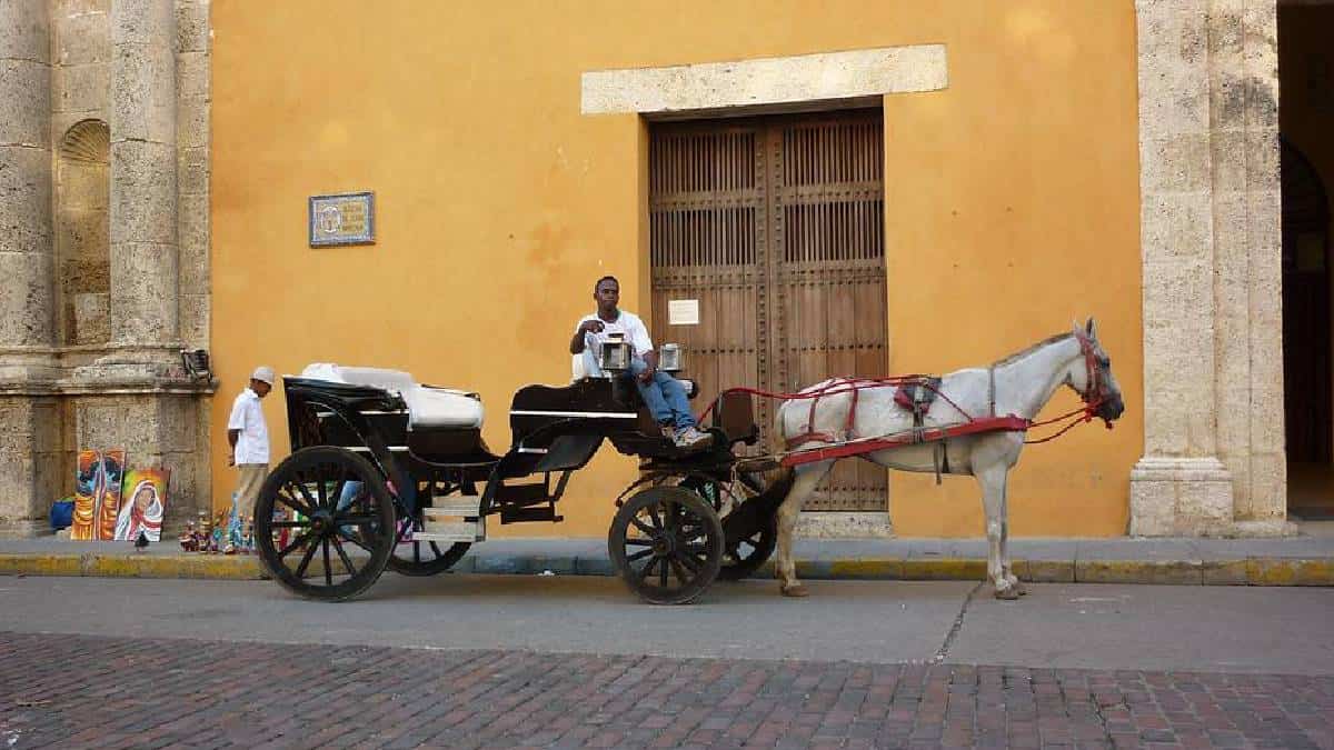 Cartagena debe proteger a caballos usados en carrozas