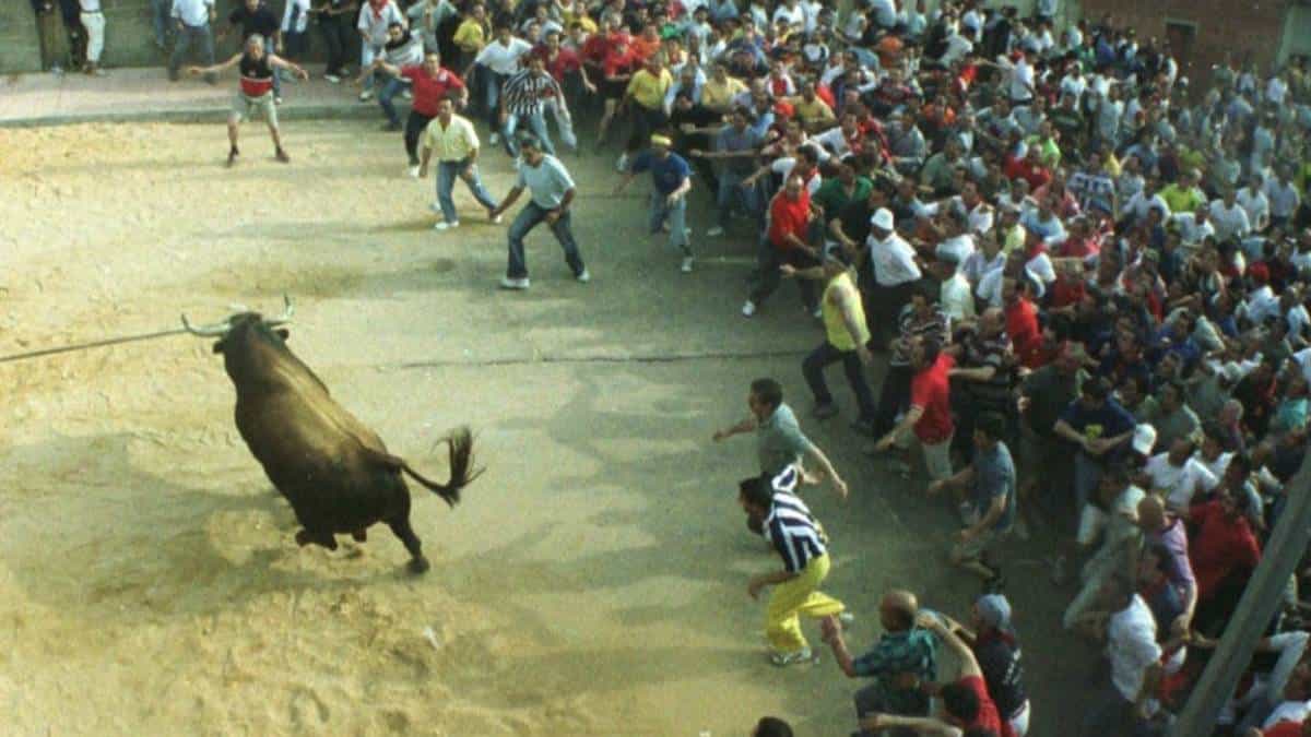 Procuraduría recomendó la suspensión de las corralejas en Sincelejo