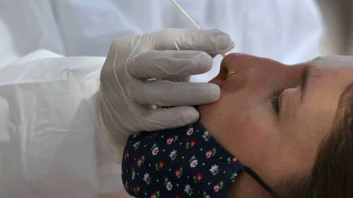 Pruebas covid gratis en Bogotá: ¿dónde tomársela el martes 23 de noviembre?