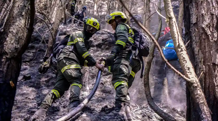 Así luce el cerro de la quebrada La Vieja tras incendio que fue liquidado