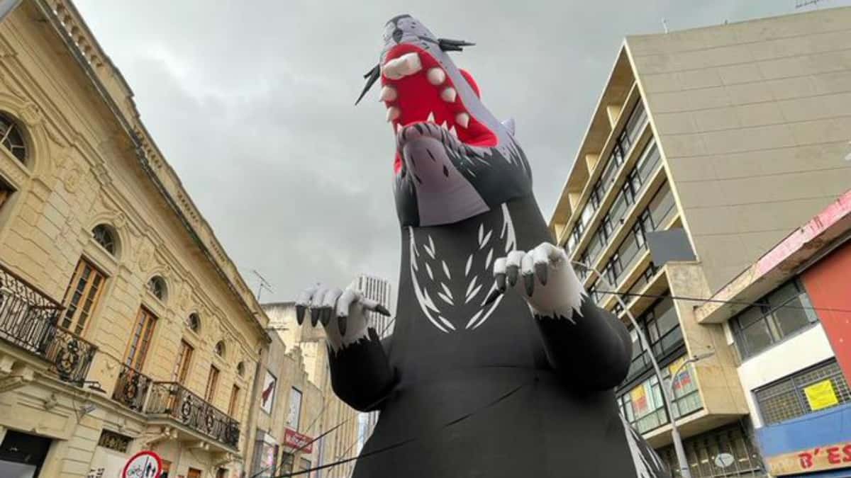 La rata gigante que sorprendió este viernes a los capitalinos.