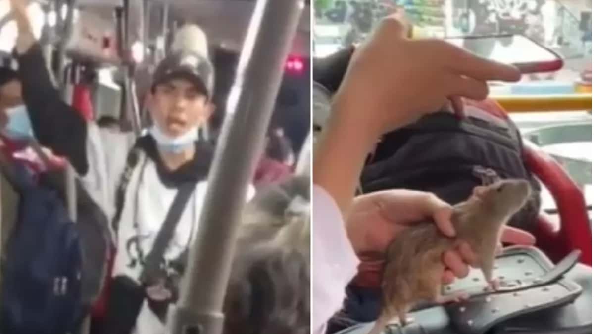 Foto: Captura de pantalla videos de redes sociales