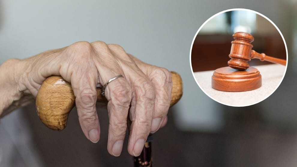 rebelión de las canas