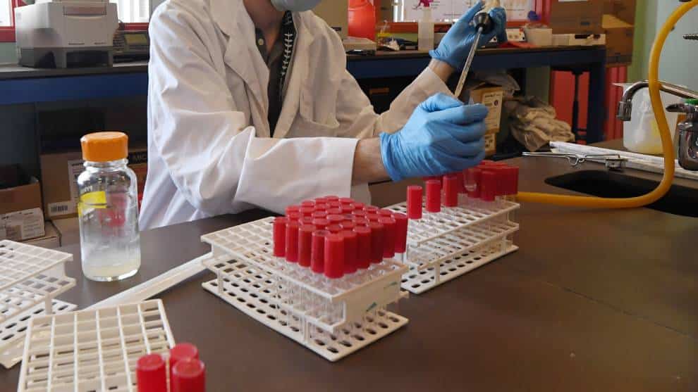 Coronavirus en Estados Unidos