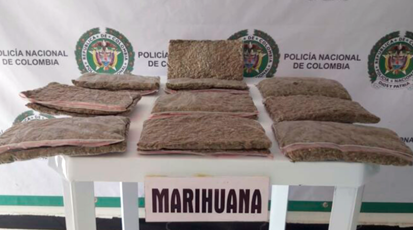 Impactan bienes de red de tráfico transnacional de marihuana: enviaba hasta 4 toneladas