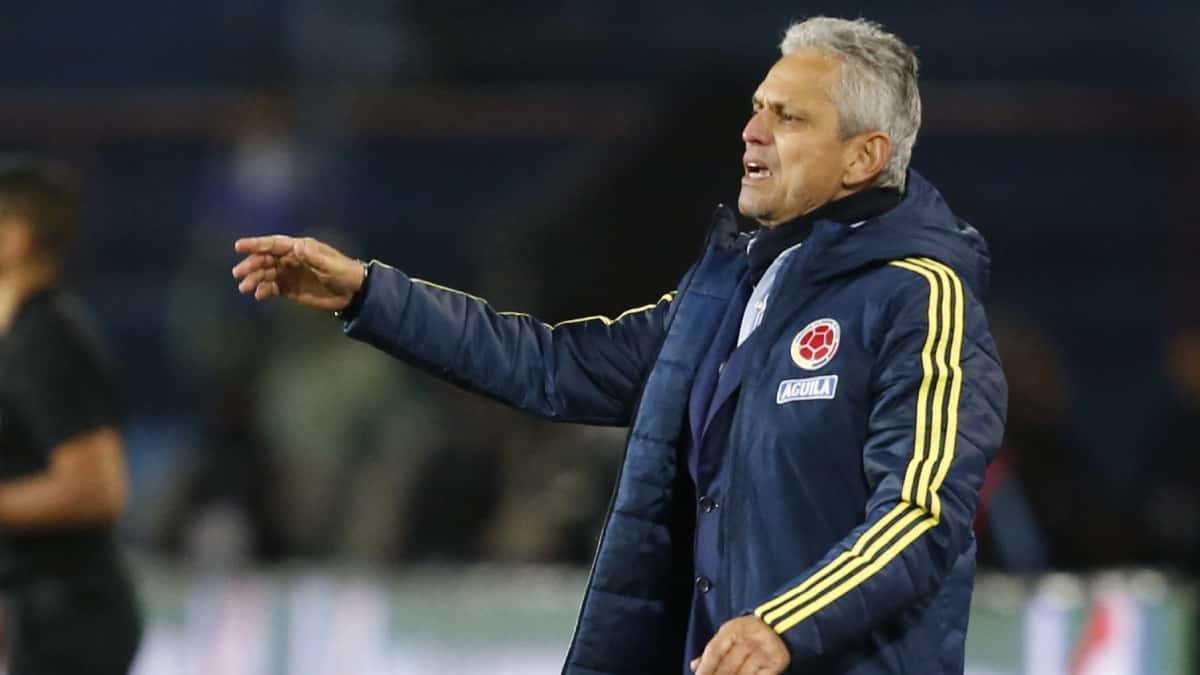 Reinaldo Rueda dirigiendo a la Selección Colombia.