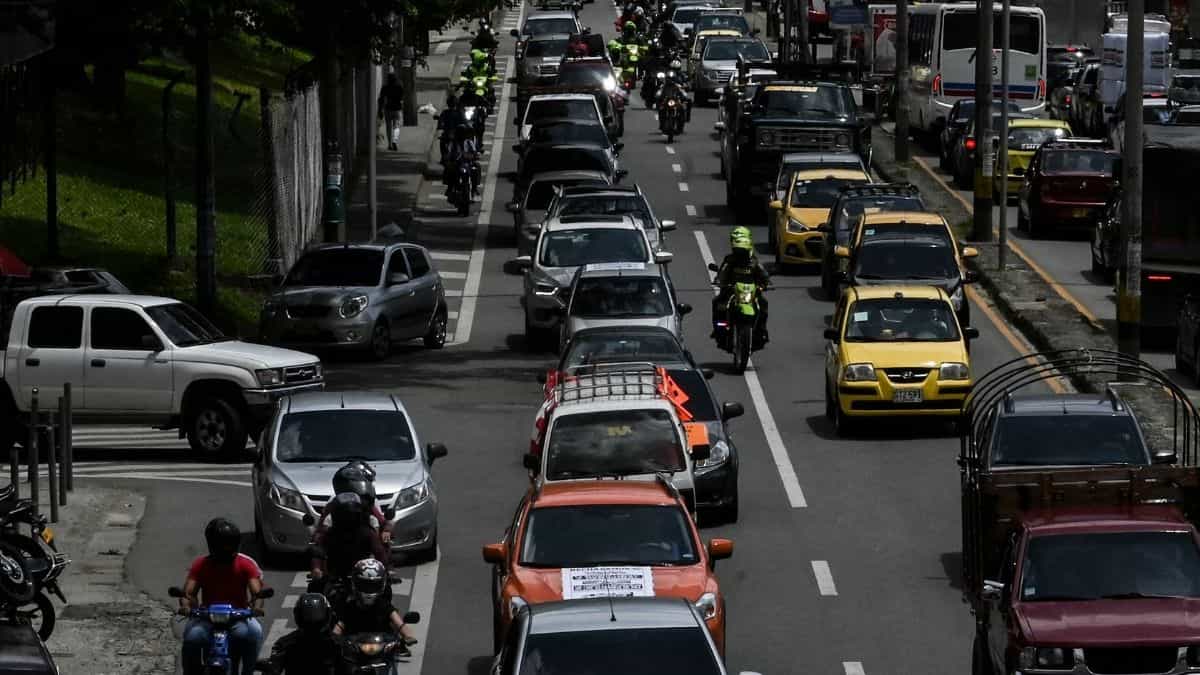 Renovación de licencia o pase de conducción: plazos y requisitos