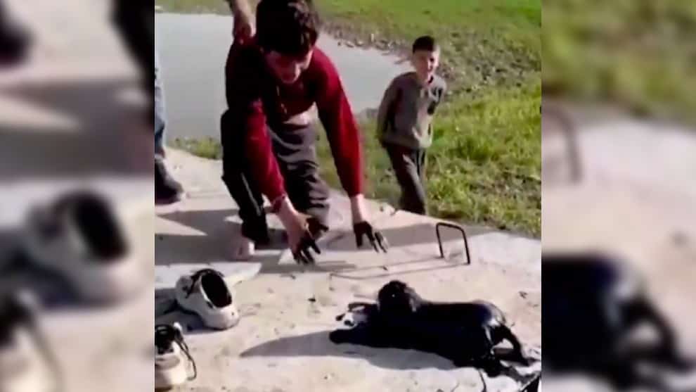 Niño de diez años rescató a un cachorro que cayó en pozo de petróleo