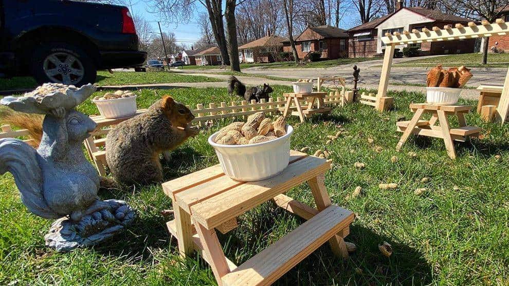'La Casa de las Nueces', así es este curioso restaurante para ardillas