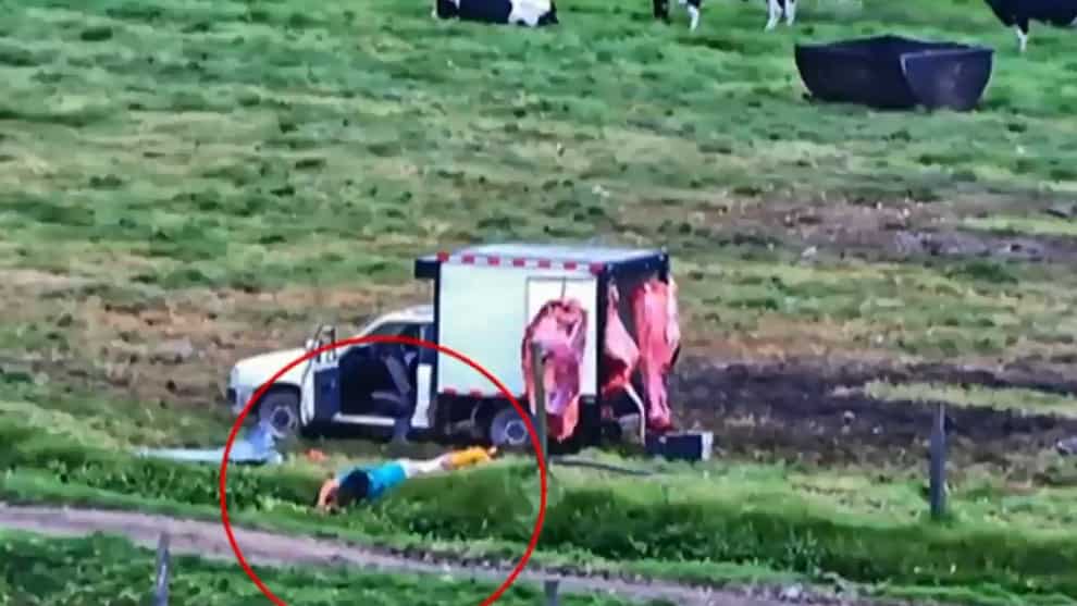 Más de nueve toneladas de carne han sido decomisadas por ser de dudosa procedencia.