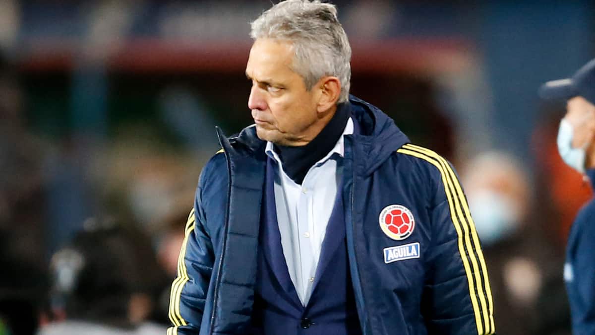 Con firmas, piden la salida de Reinaldo Rueda de la Selección Colombia