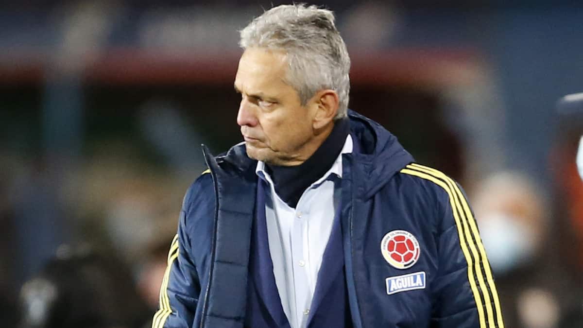 Reinaldo Rueda dirigiendo a la Selección Colombia