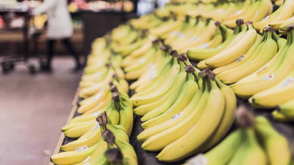 “No solo el productor se beneficia, también el consumidor”: SAC sobre reforma tributaria