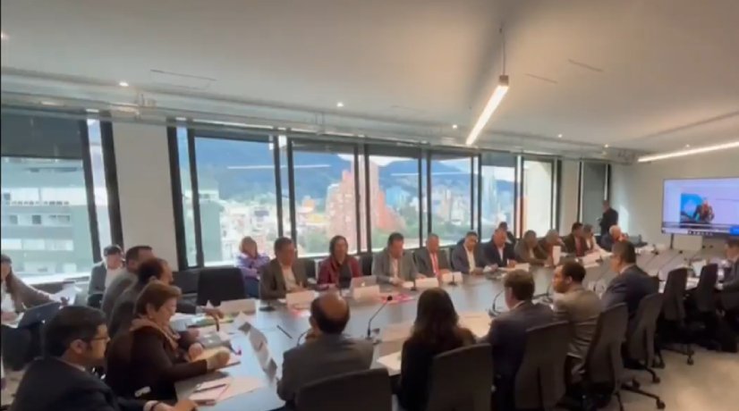 Presidenta de AmCham sobre aumento del salario mínimo