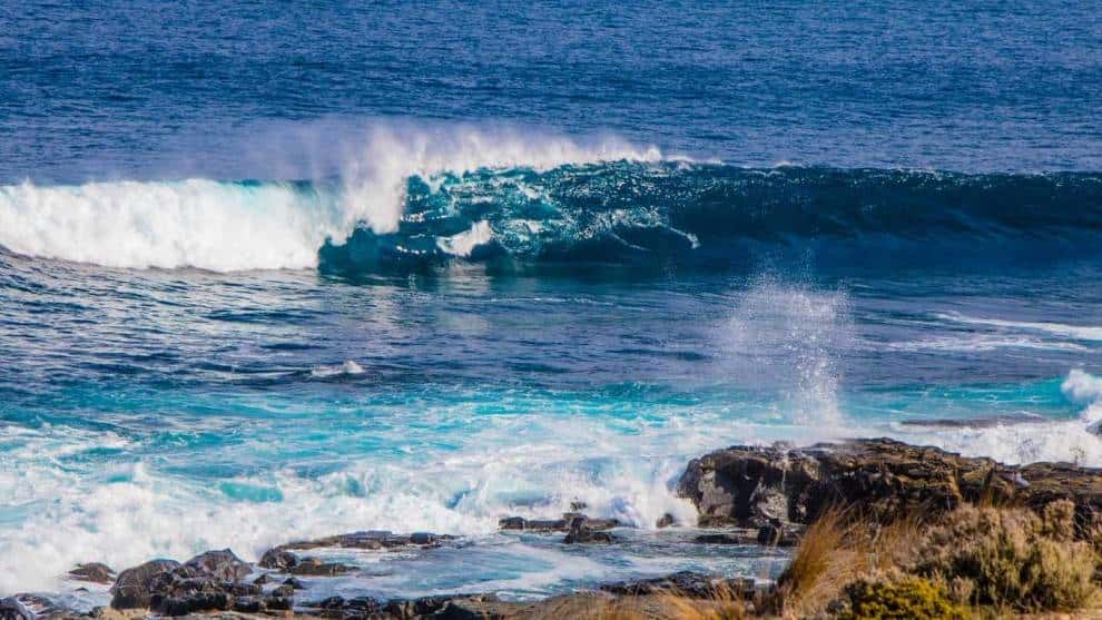 Es urgente salvar los océanos para proteger a la humanidad