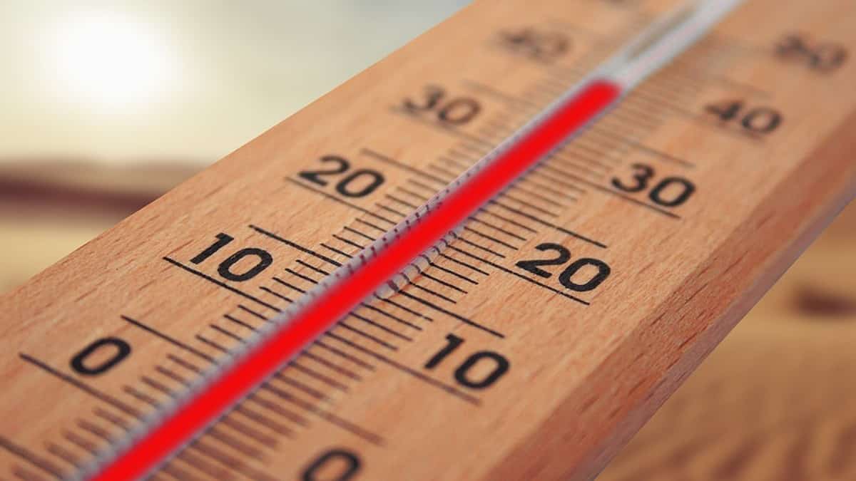 Foto: Referencia - Pixabay 2020 segundo año más caluroso