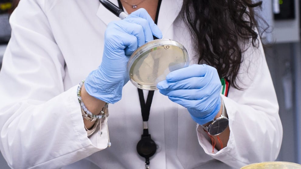 Coronavirus en Brasil