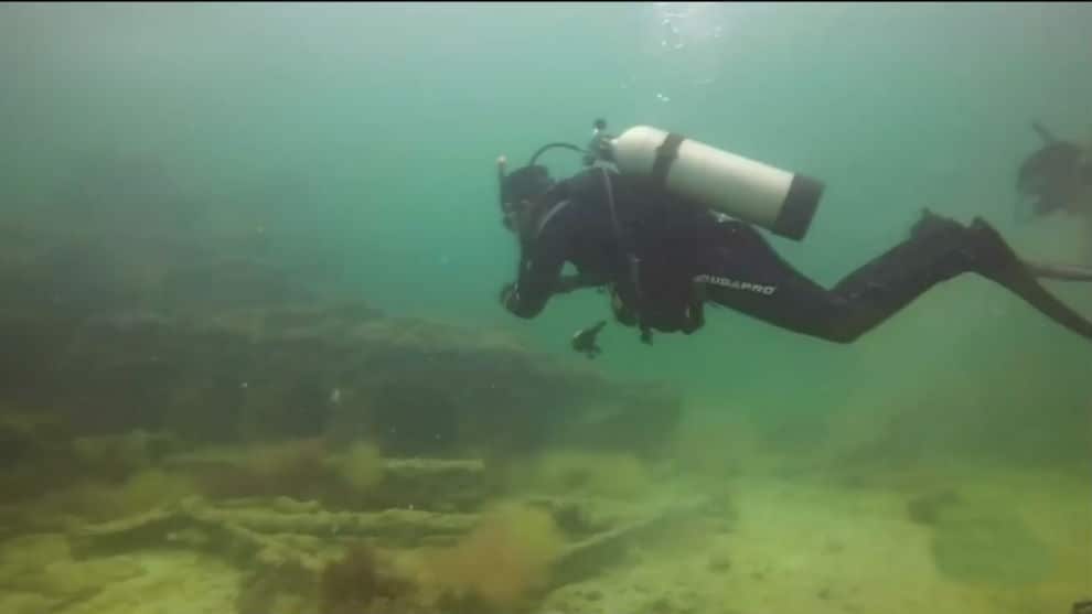 el semaforo con laura acuña