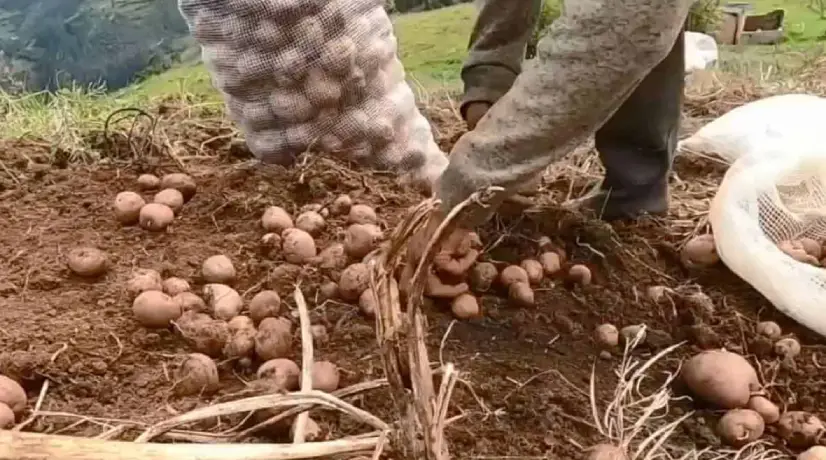 Sena habilitará cupos para certificación de competencias laborales