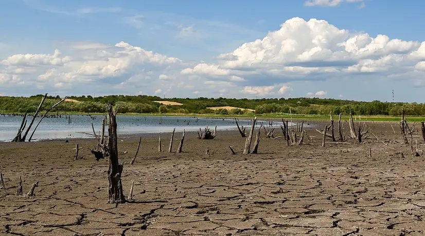 Ciénagas secas en Cesar; hay 800 familias afectadas