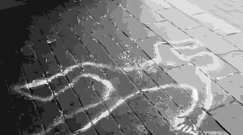 Hallan cadáver de un hombre en plena vía pública del 7 de Agosto