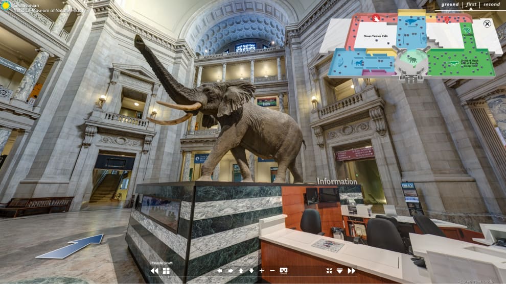 Conozca los museos que podrá 'visitar' durante la cuarentena