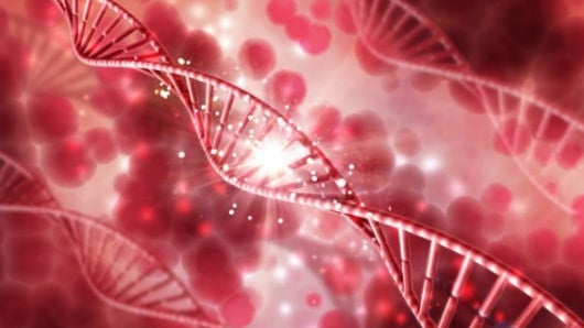 Imagen de referencia. Foto: Freepik.