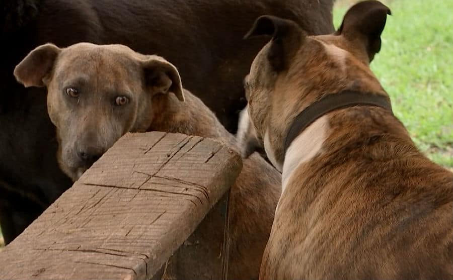 Foto: NoticiasRCN.com