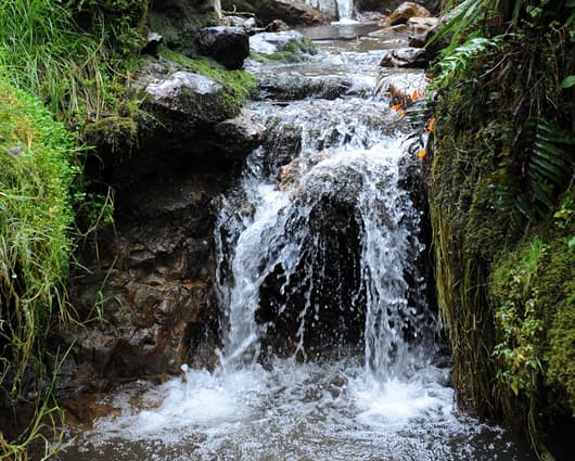 Bogotá firmará alianzas con otras ciudades latinoamericanas para proteger los cuerpos de agua. Foto: AFP