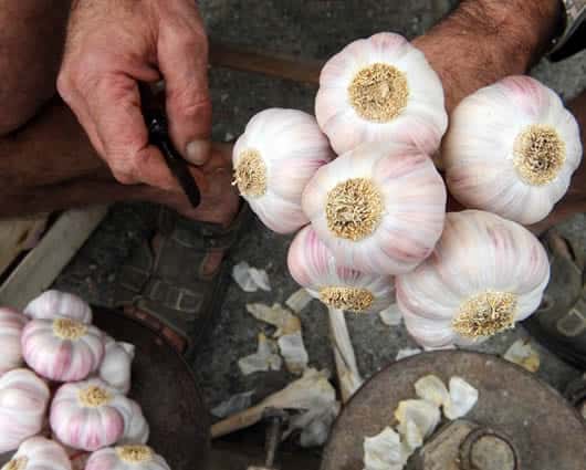 No es recomendable abusar de su consumo. Foto: AFP