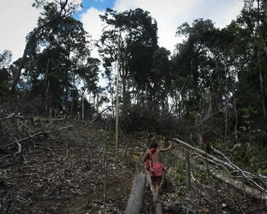 El promedio de deforestación anual de Colombia se ubicó en 147.946 hectáreas. Foto: AFP.