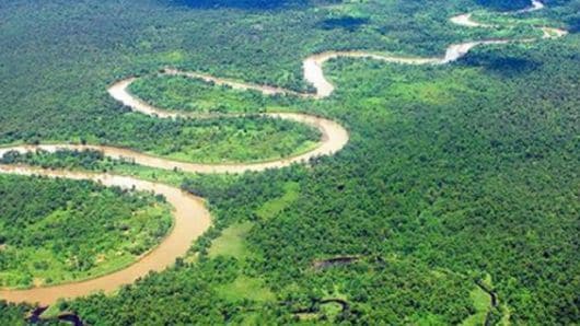 La meta del acuerdo es reducir la deforestación a 90.000 hectáreas al año en 2018. Foto: RCN La Radio.