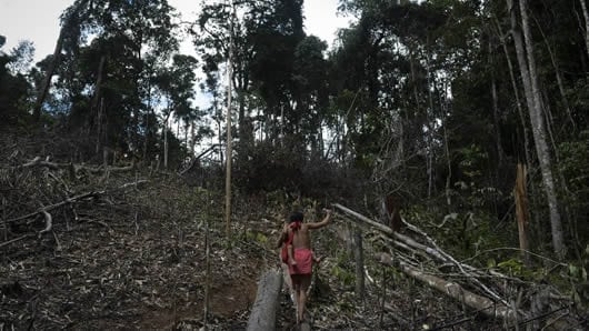 Expertos analizan el impacto de la deforestación de la Amazonía en los cambios climáticos de Suramérica. AFP
