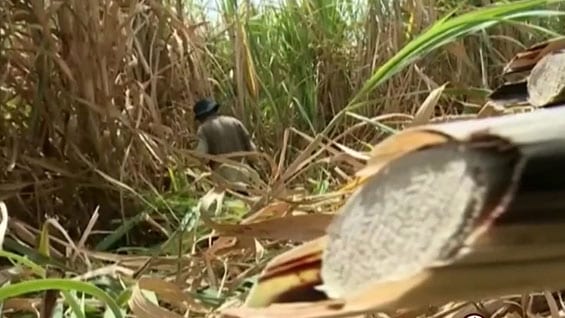 Analistas coinciden en que la demanda de 11 billones de pesos sería impagable. Foto: Noticias RCN.