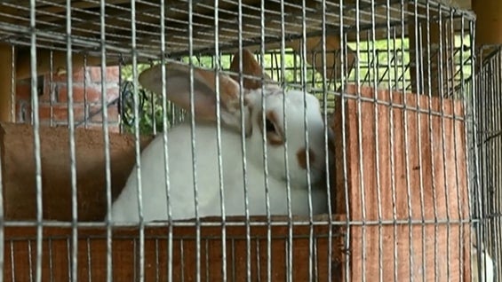 Foto: NoticiasRCN.com