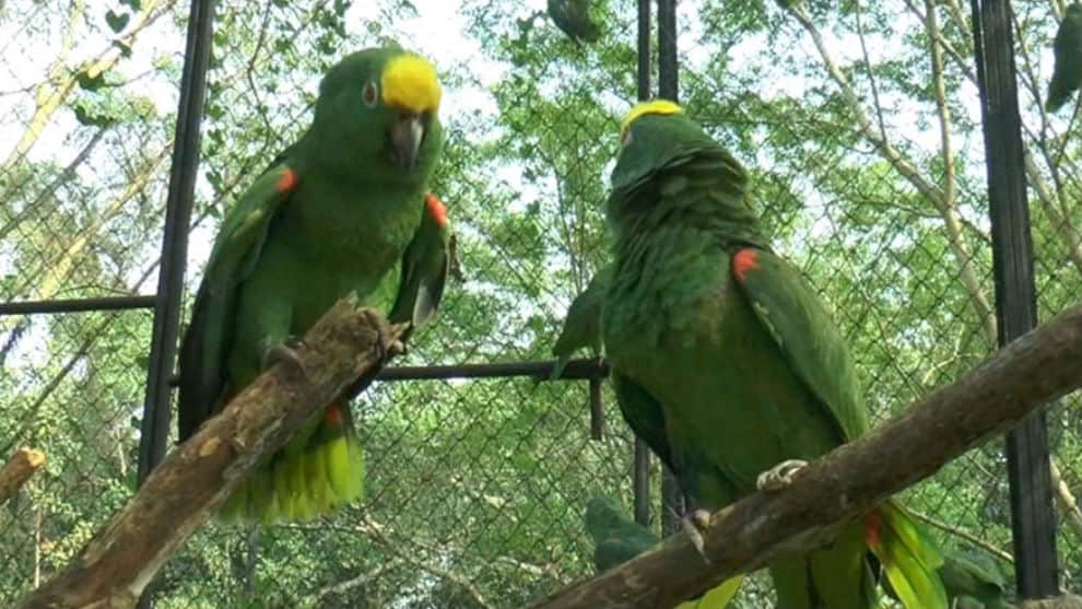 Foto: NoticiasRCN.com