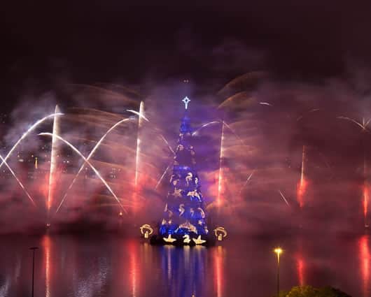 El árbol se encendió junto a un espectáculo pirotécnico. Foto: EFE