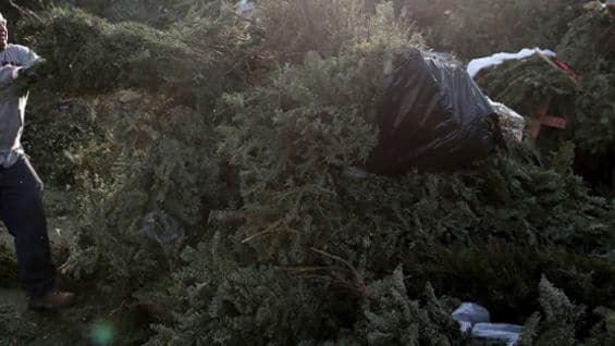El europeo dijo haber sido autorizado para proceder de esa forma. Foto: AFP.