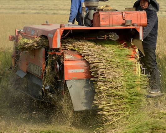 La medida regirá a partir del 1 de abril. Foto: AFP.