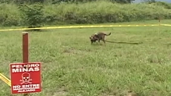 Los detalles del desminado serán entregados próximamente en Cuba. Foto: NoticiasRCN.com